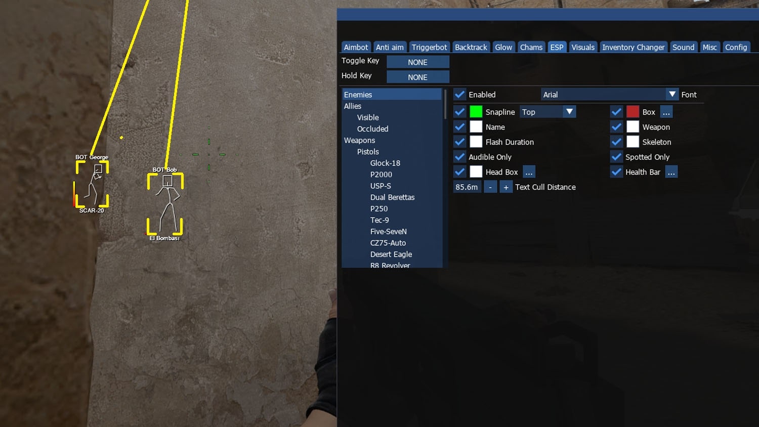 CS2 Legit Aim & Wallhack